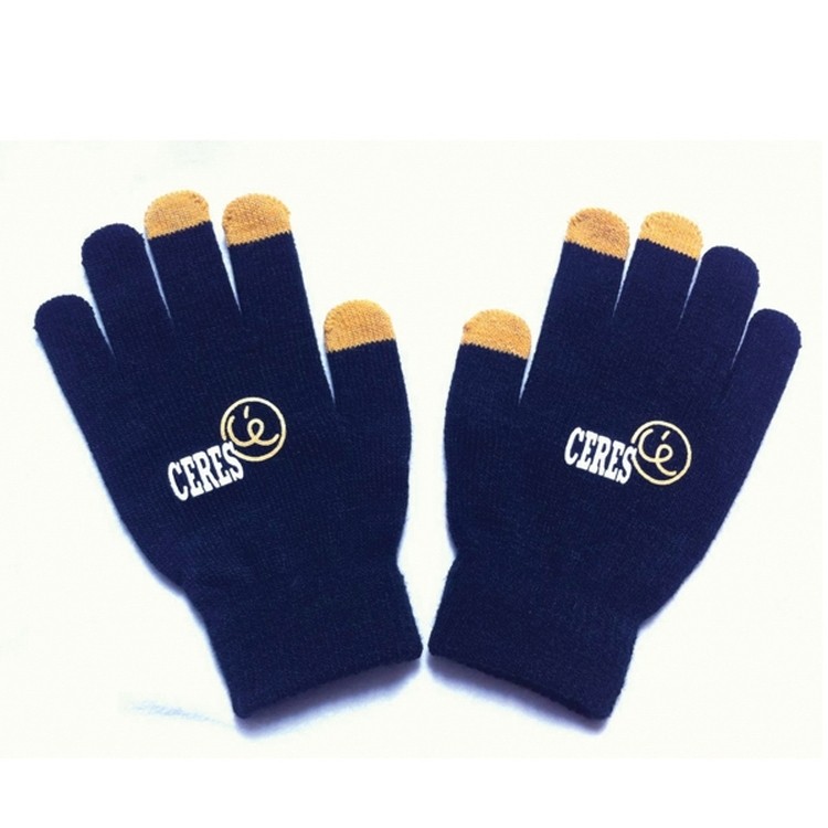 Warm Touch Gloves For Smartphones 2