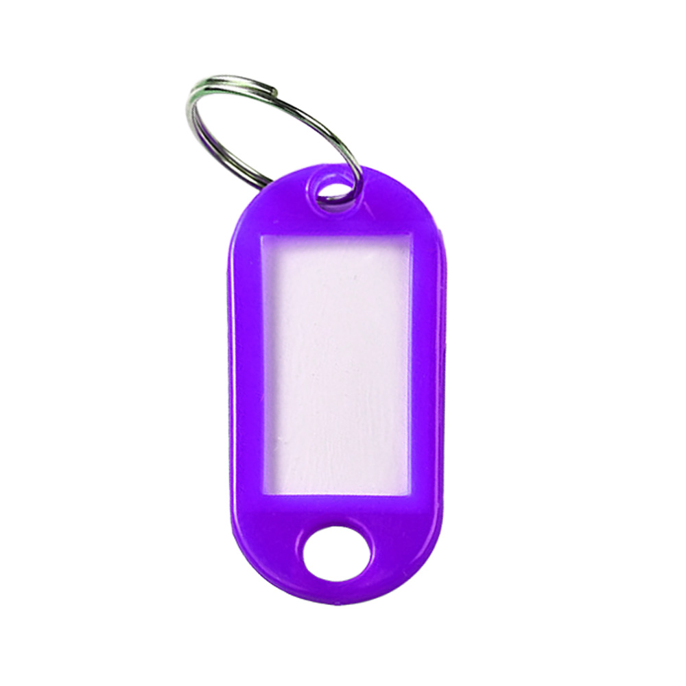 Plastic Key Tags With Label Window 11