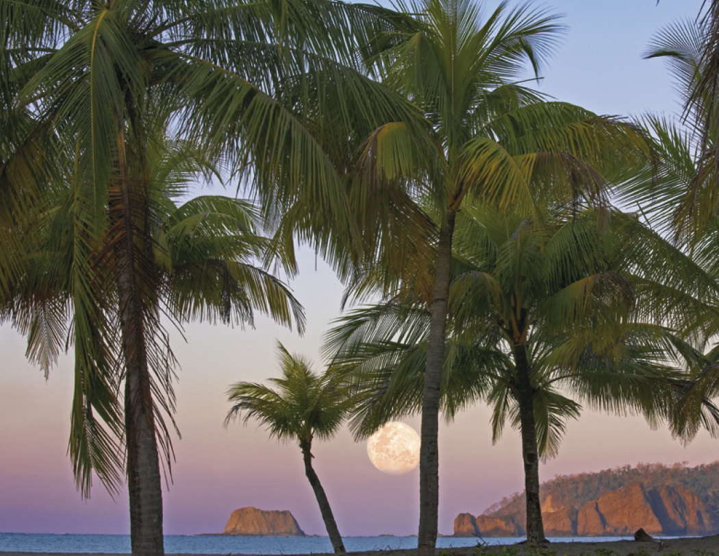 Good Value™ Beach Paradise - Spiral Calendar 67