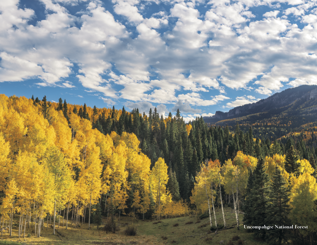 HotLine® Products Colorado Collection 13