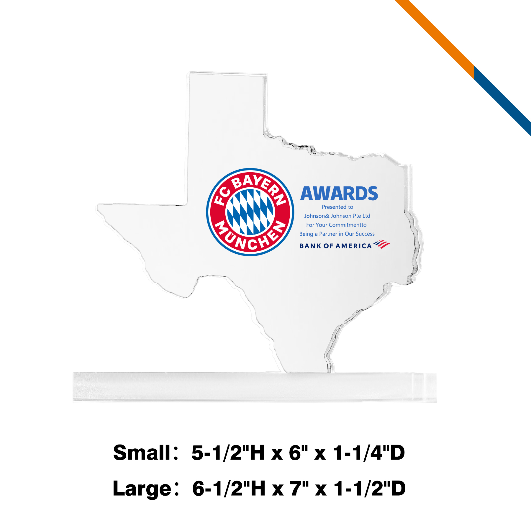 Bevio Texas Crystal Award 4