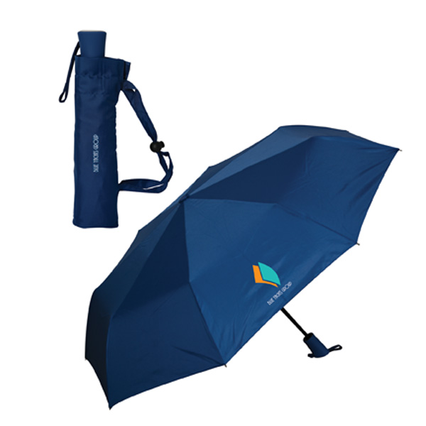Phoenix Folding Umbrella 4