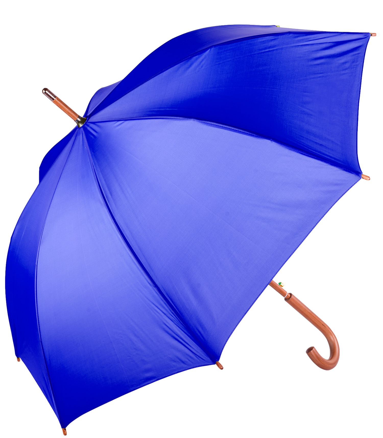 The Hotel Umbrella 2