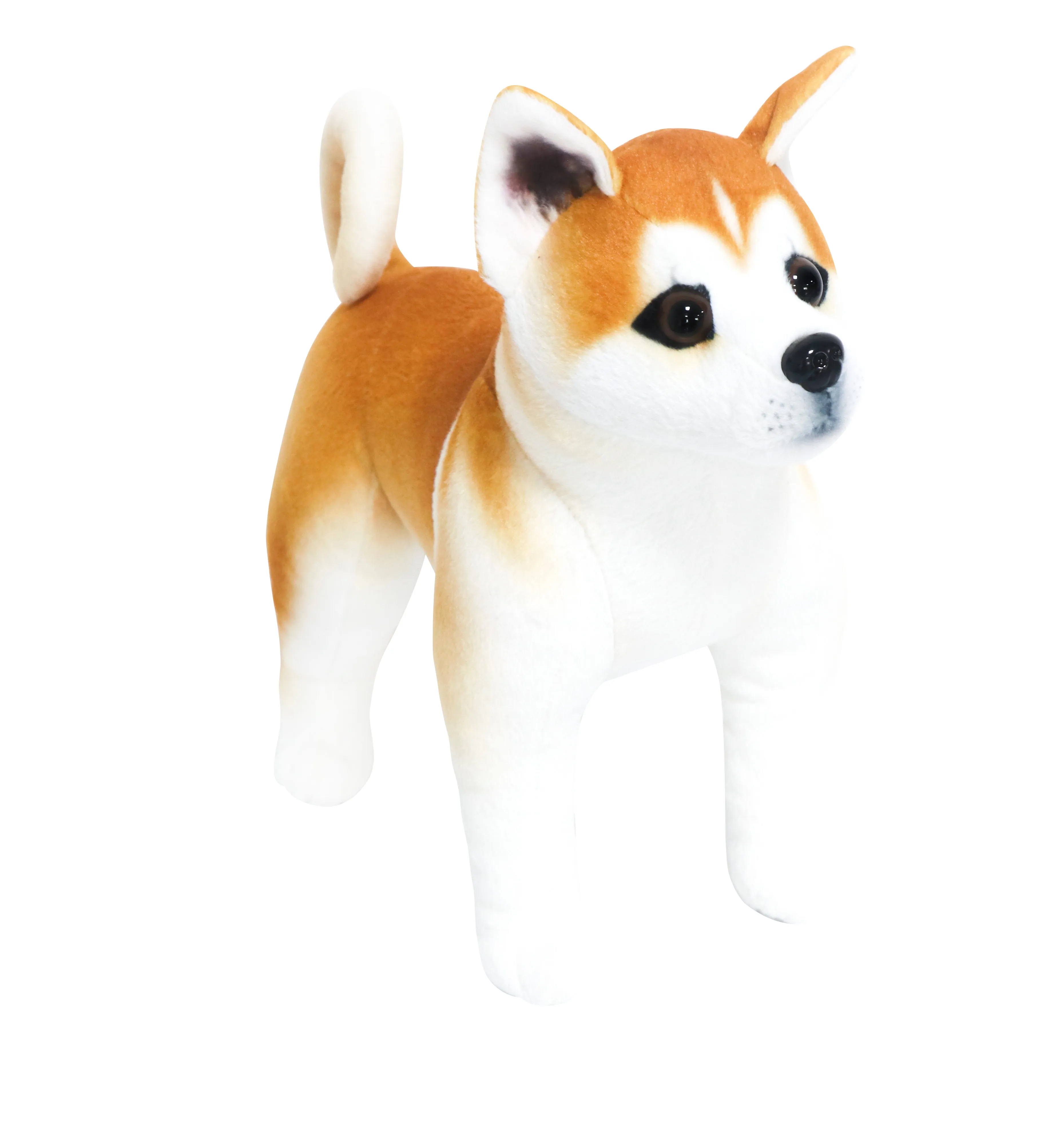 Standing Akita 2