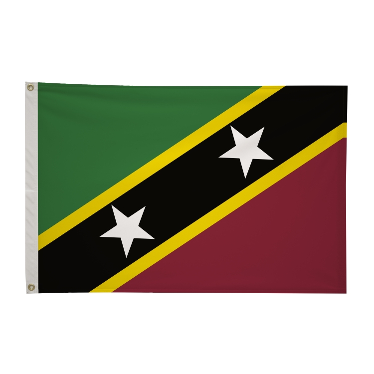 2' x 3'International Flag 45