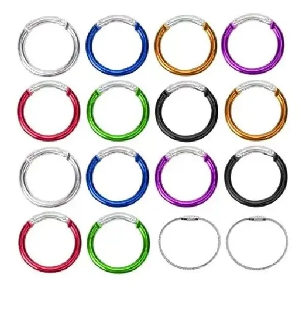 Circle Carabiner 8