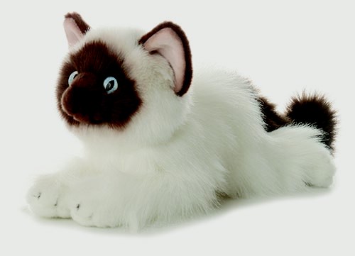 12" Bella Siamese Cat 2