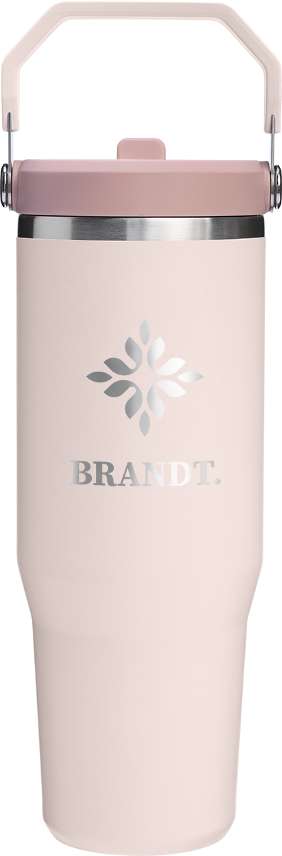 Stanley® 30oz IceFlow™ Flip Straw Tumbler 118