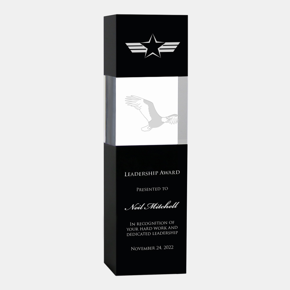 BLACK-CLEAR COLUMN OPTIC CRYSTAL AWARD 5