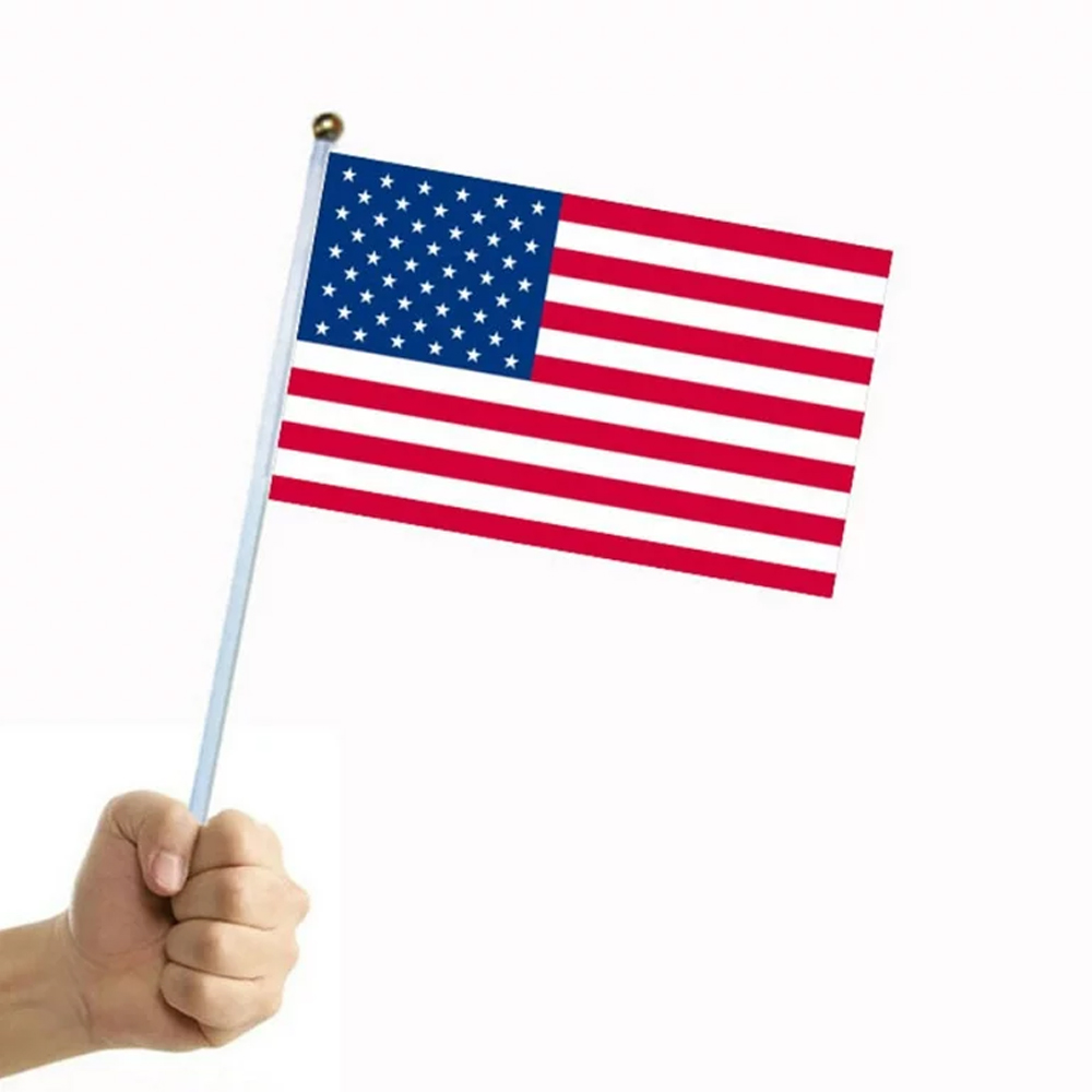 Hand Held Flag 7