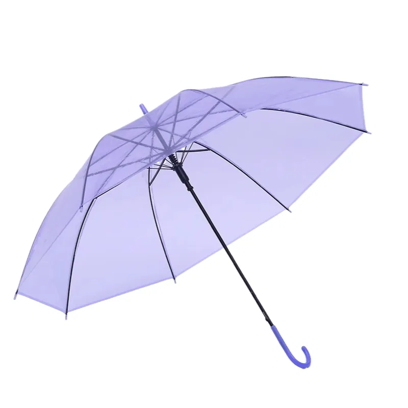 Transparent Umbrella 3
