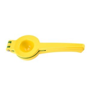 Stainless Steel Bowl Juice Squeezer 21