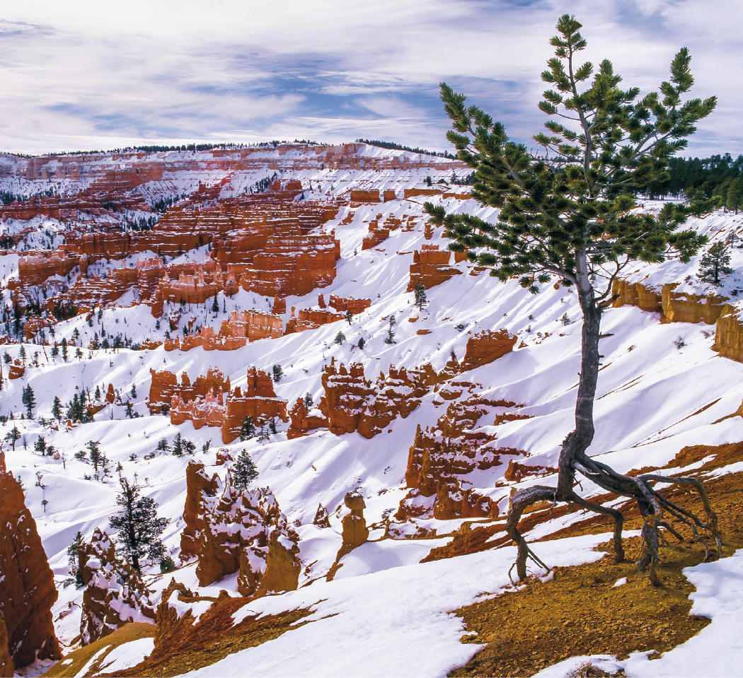 Good Value™ Landscapes of America - Mini Calendar 5