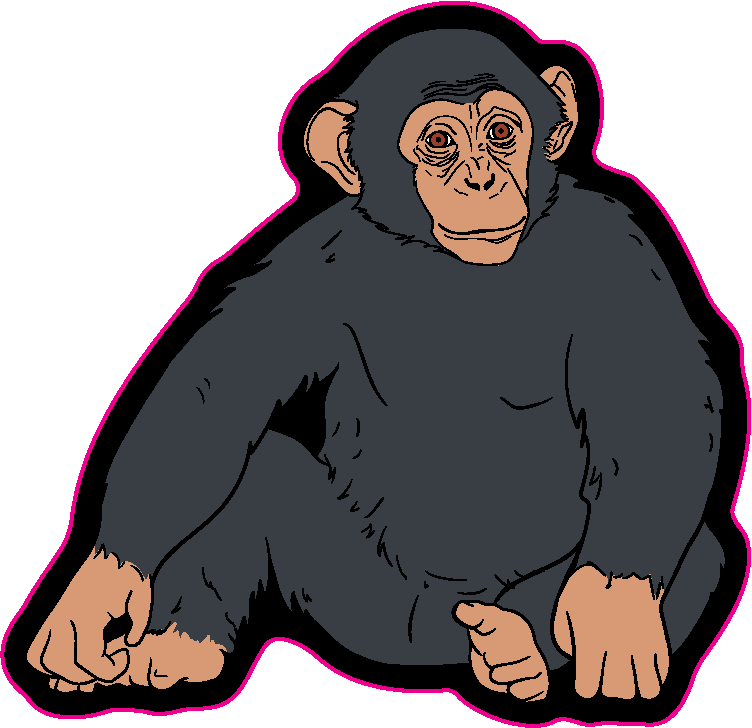 Stock Shape 1/4" Acrylic Magnet - USA Made