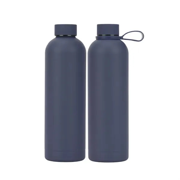 Stainless Steel Water Bottle with Insulated 17 oz 16