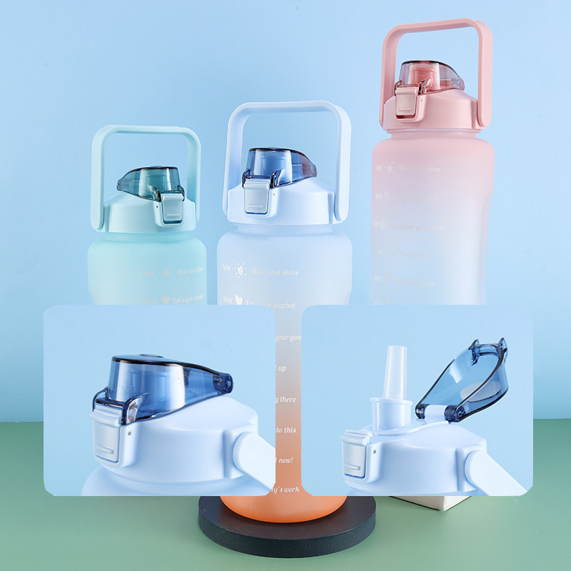 Large Capacity Frosted Gradient Straw Cup 2