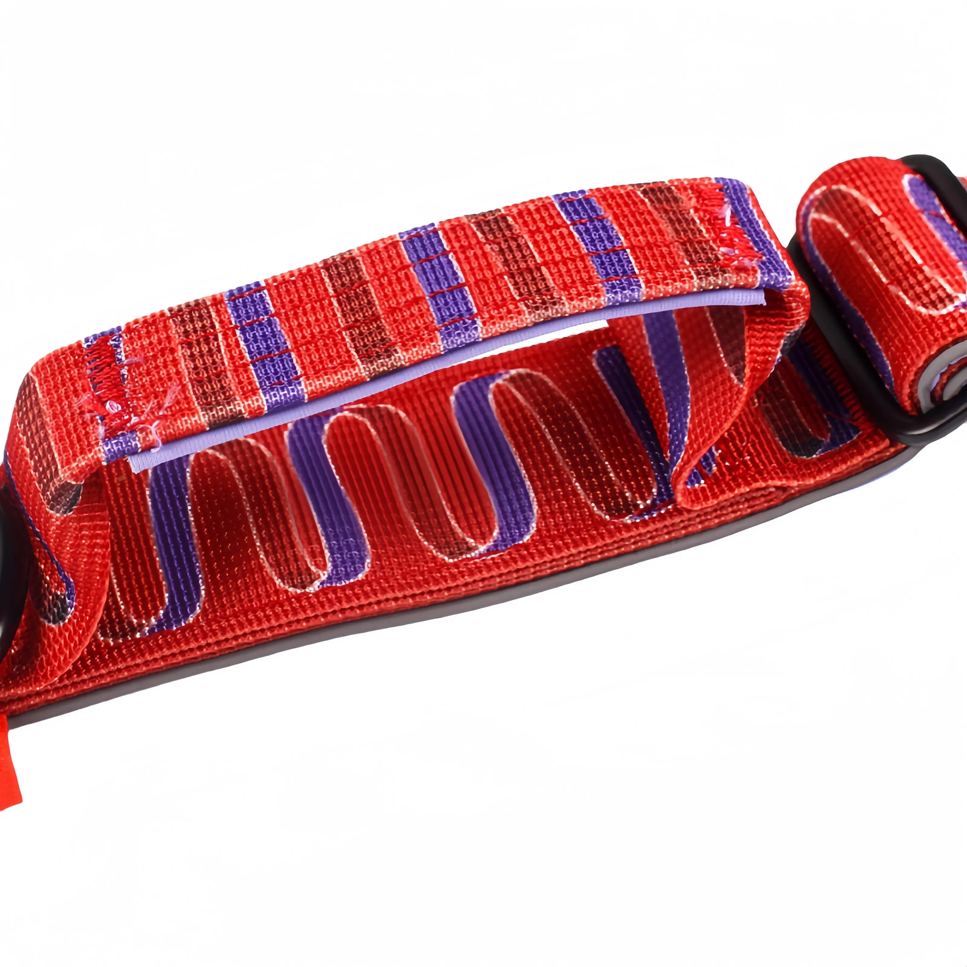 Pet Collar 2