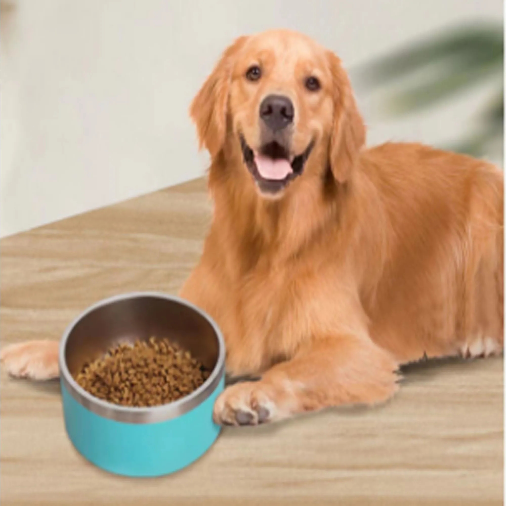 64 OZ Stainless Steel Insulated Dog Bowl 5