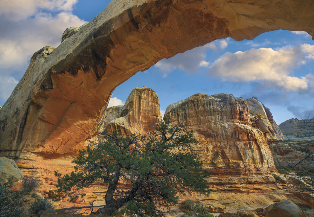 HotLine® Products Our Beautiful America® Executive Calendar 48