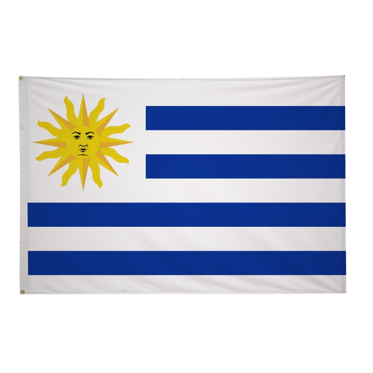 4' x 6' International Flags 166