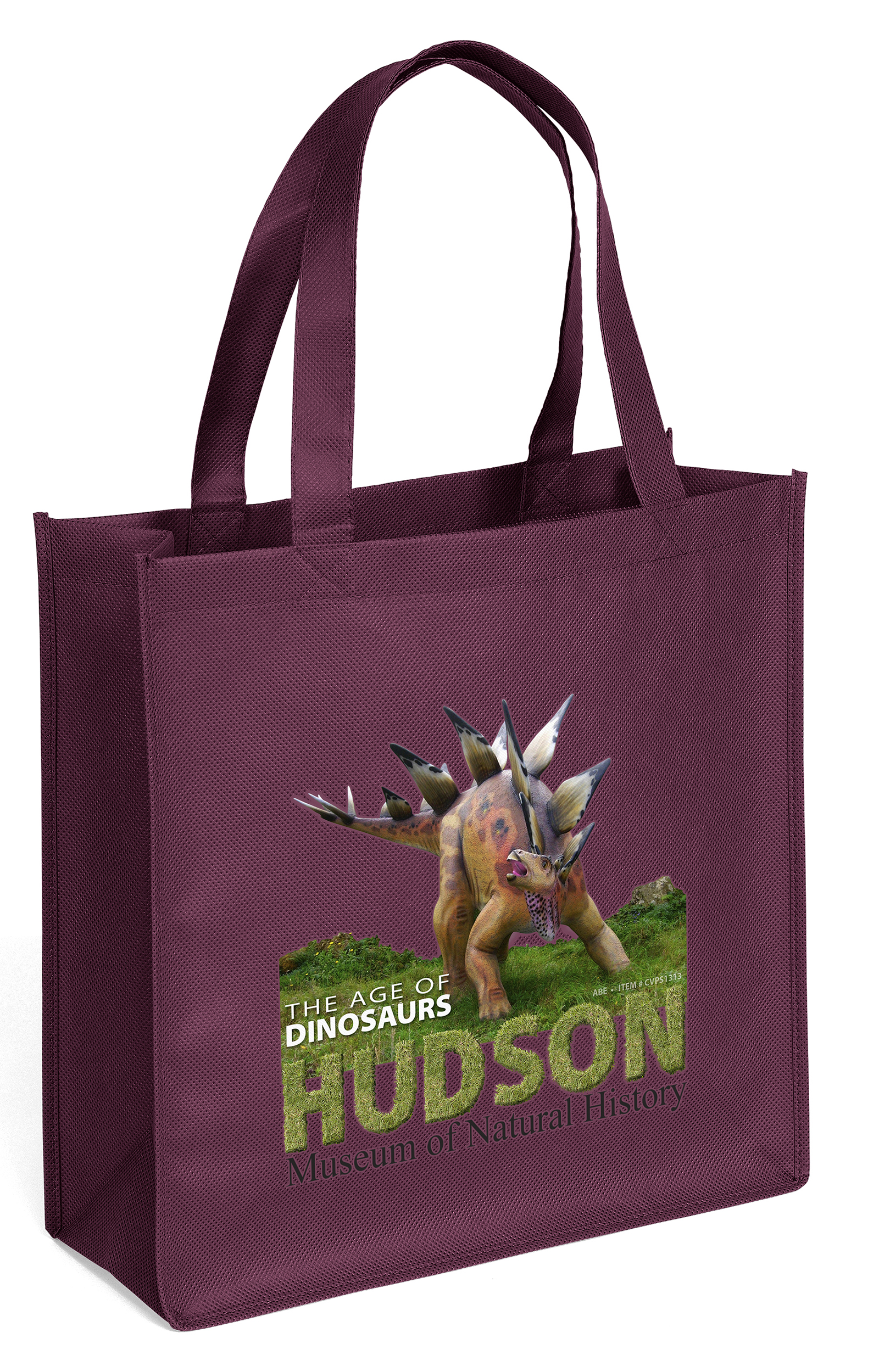 Abe - Celebration Tote Bag - ColorVista 20