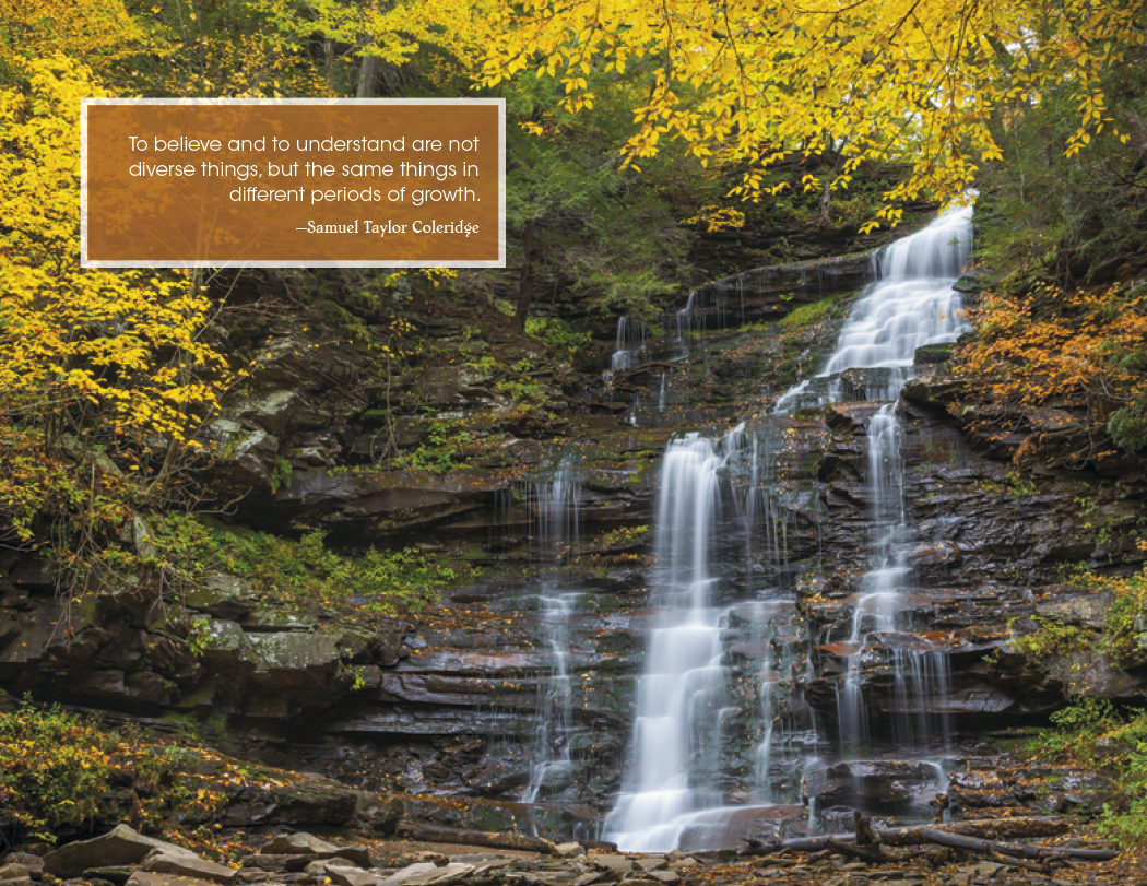 Good Value™ Inspirations for Life - Window Calendar 4
