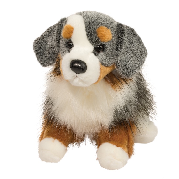 Sinclair Australian Shepherd 1