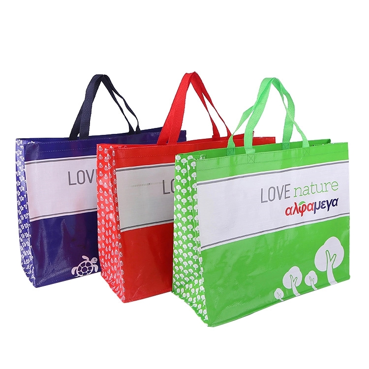 Reusable Laminated PP Woven Shopping Bag 10
