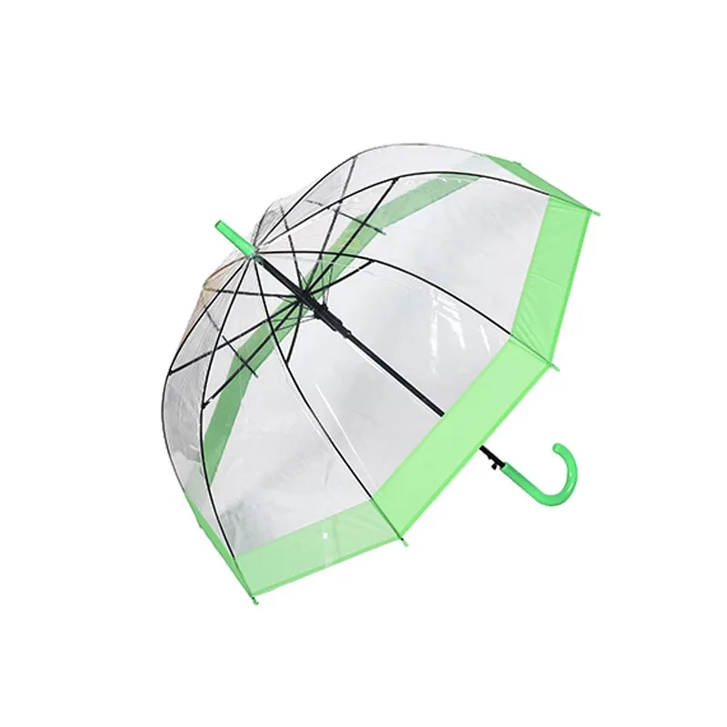 Clear and Transparent Umbrella 1