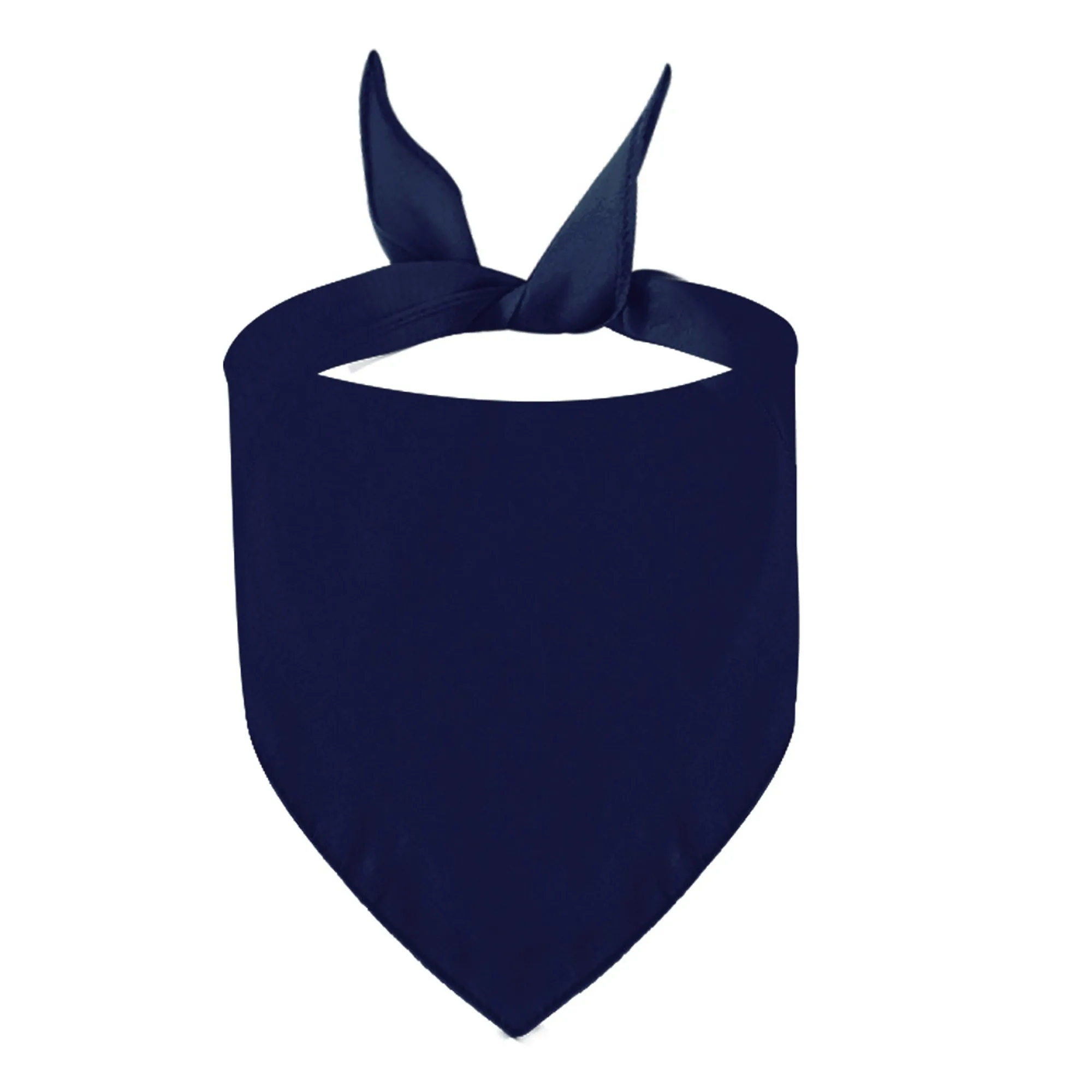 MOQ 20 Polyester Pet Triangle Scarf 7