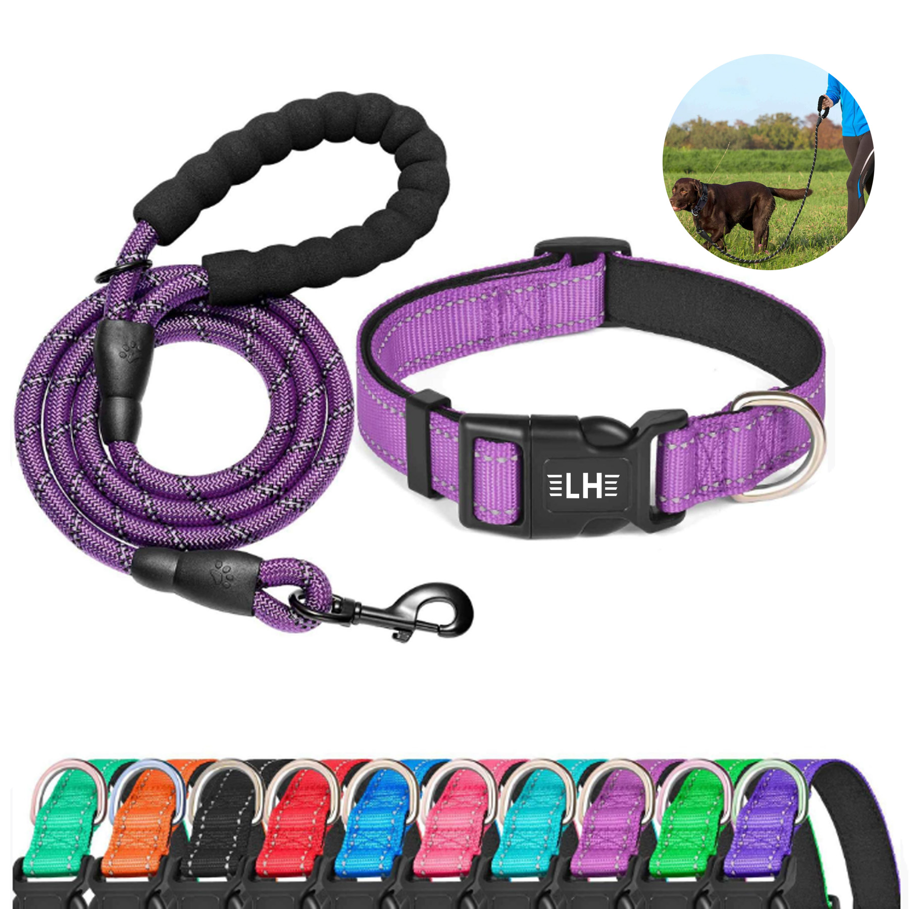 Reflective Dog Collar Padded with Soft Neoprene 1