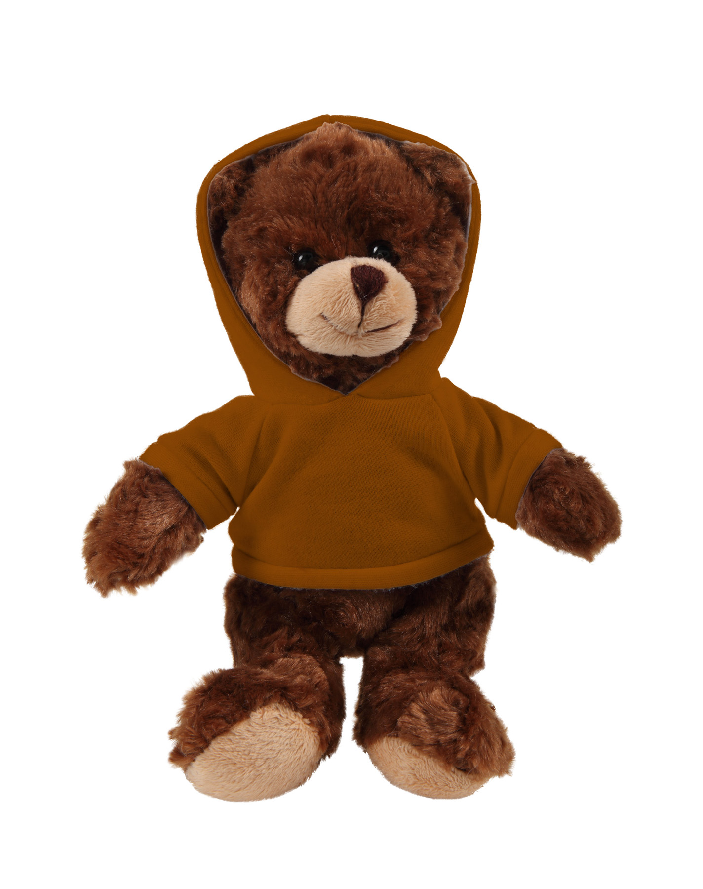 soft plush  Chocolate Curly Sitting Bear with hoodie 9