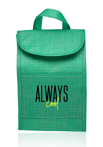 Shimmer Insulated Lunch Bags 17