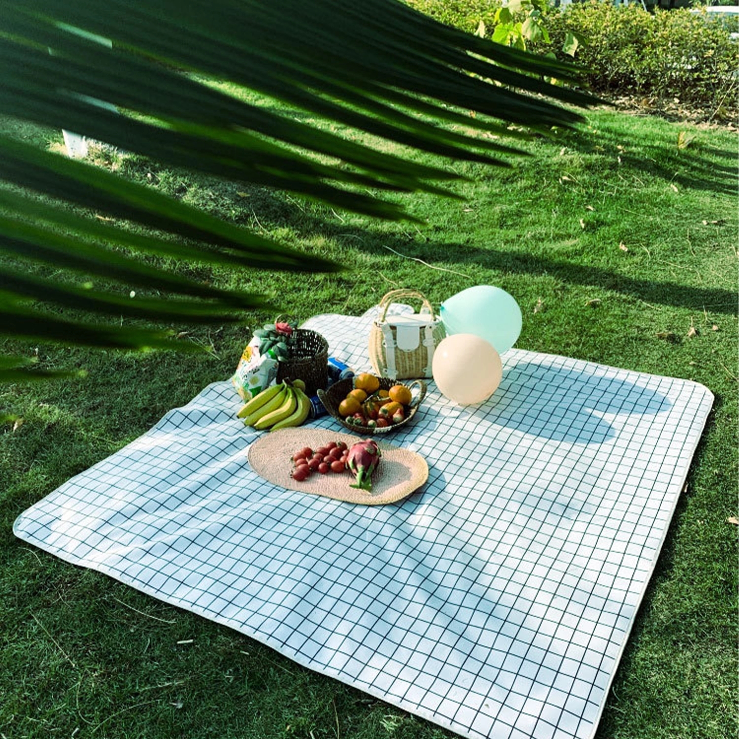 Picnic Blanket 2