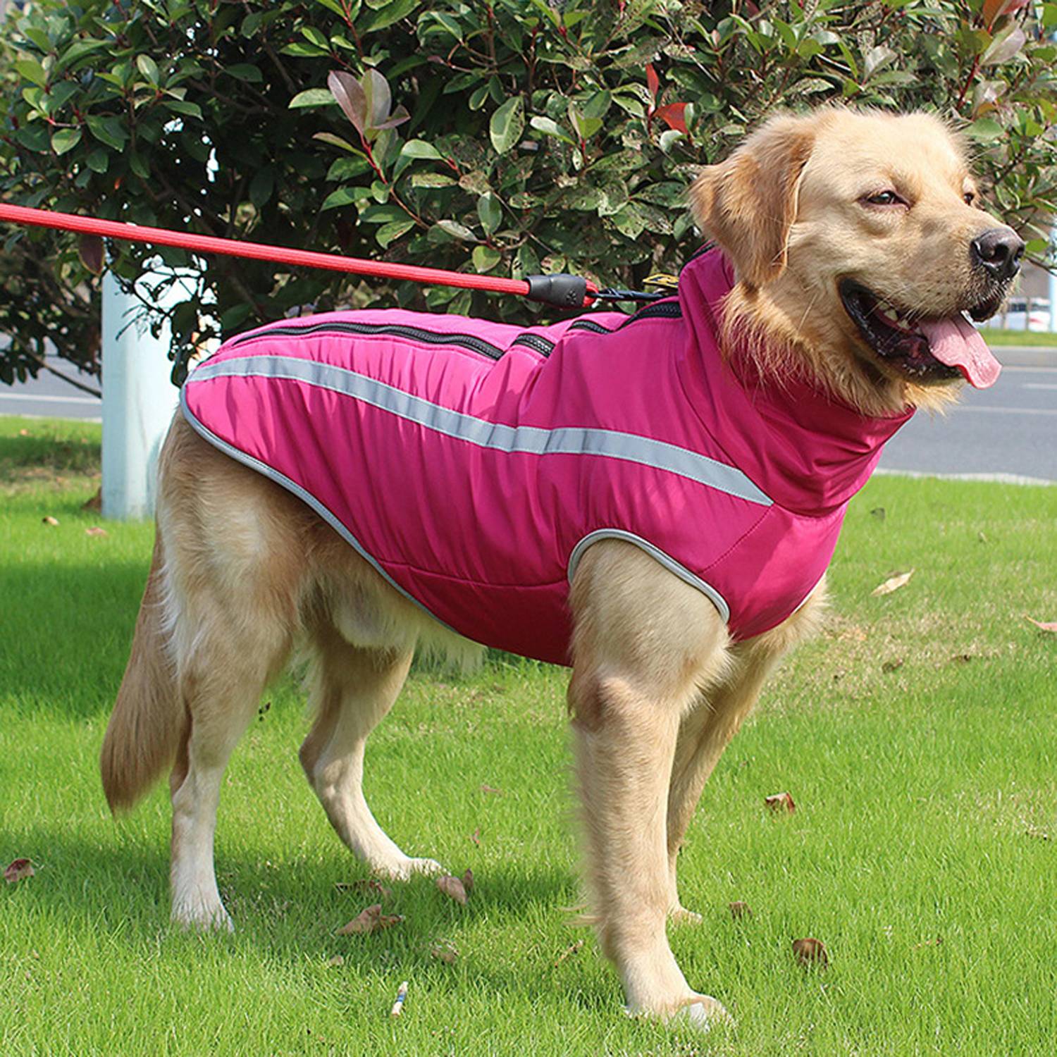 Dog Winter Reflective Waterproof Jacket 2