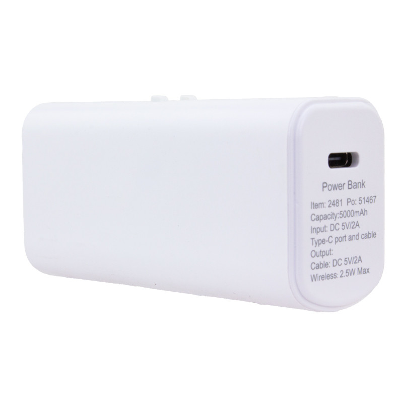 Dual Plug with Watch Charger 29