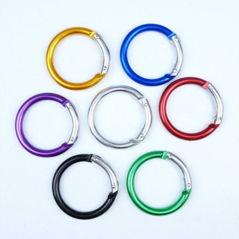Round Carabiner 2