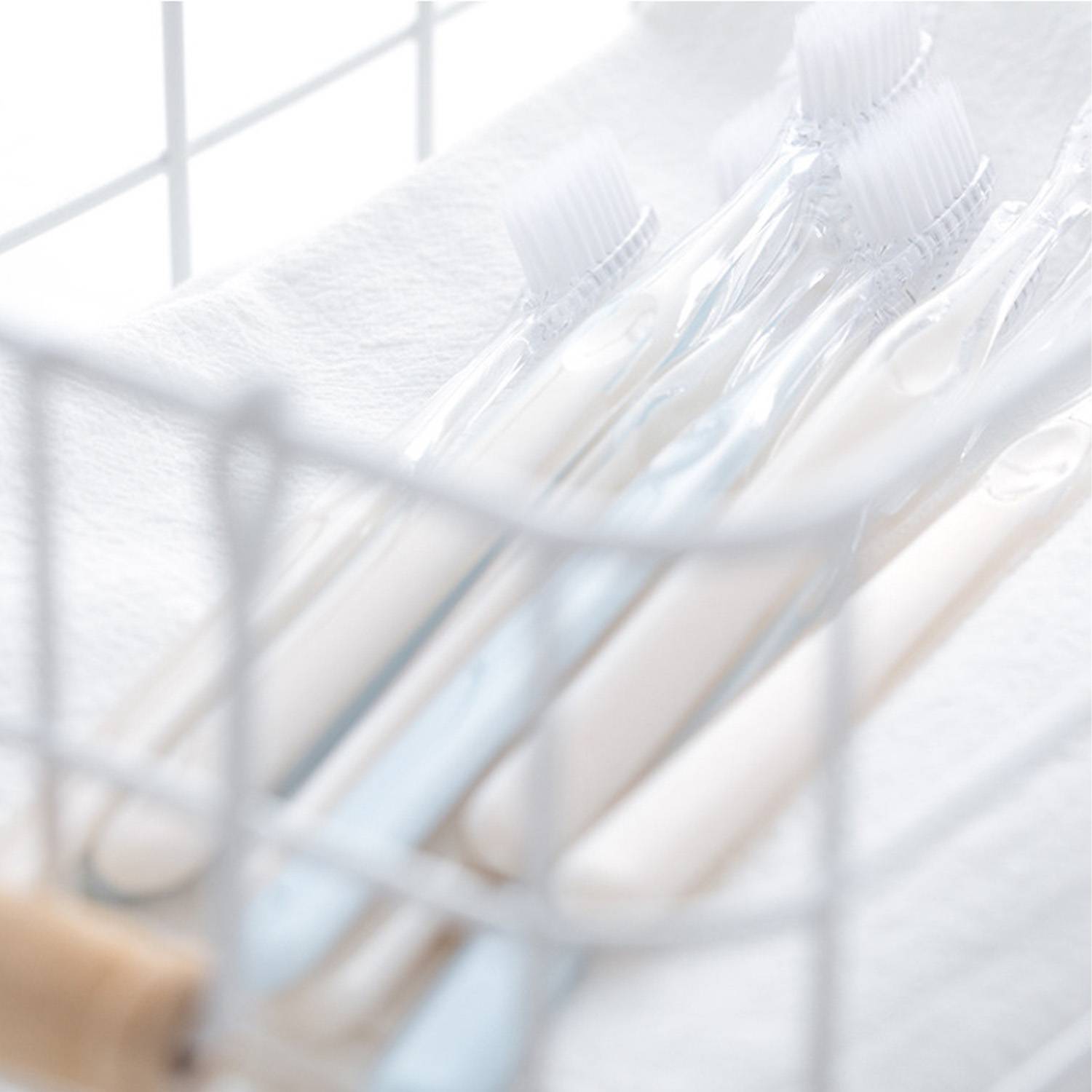 Toothbrush Travel Kit 1