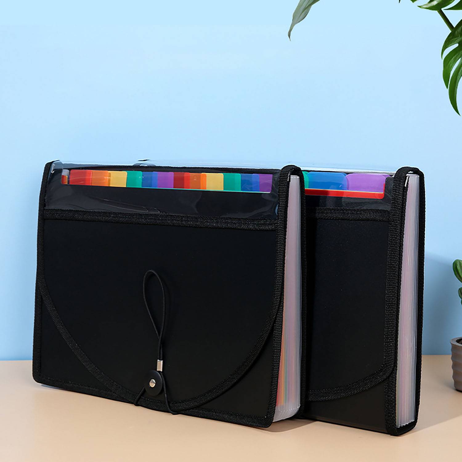File Accordion Folders 13 Pockets 4