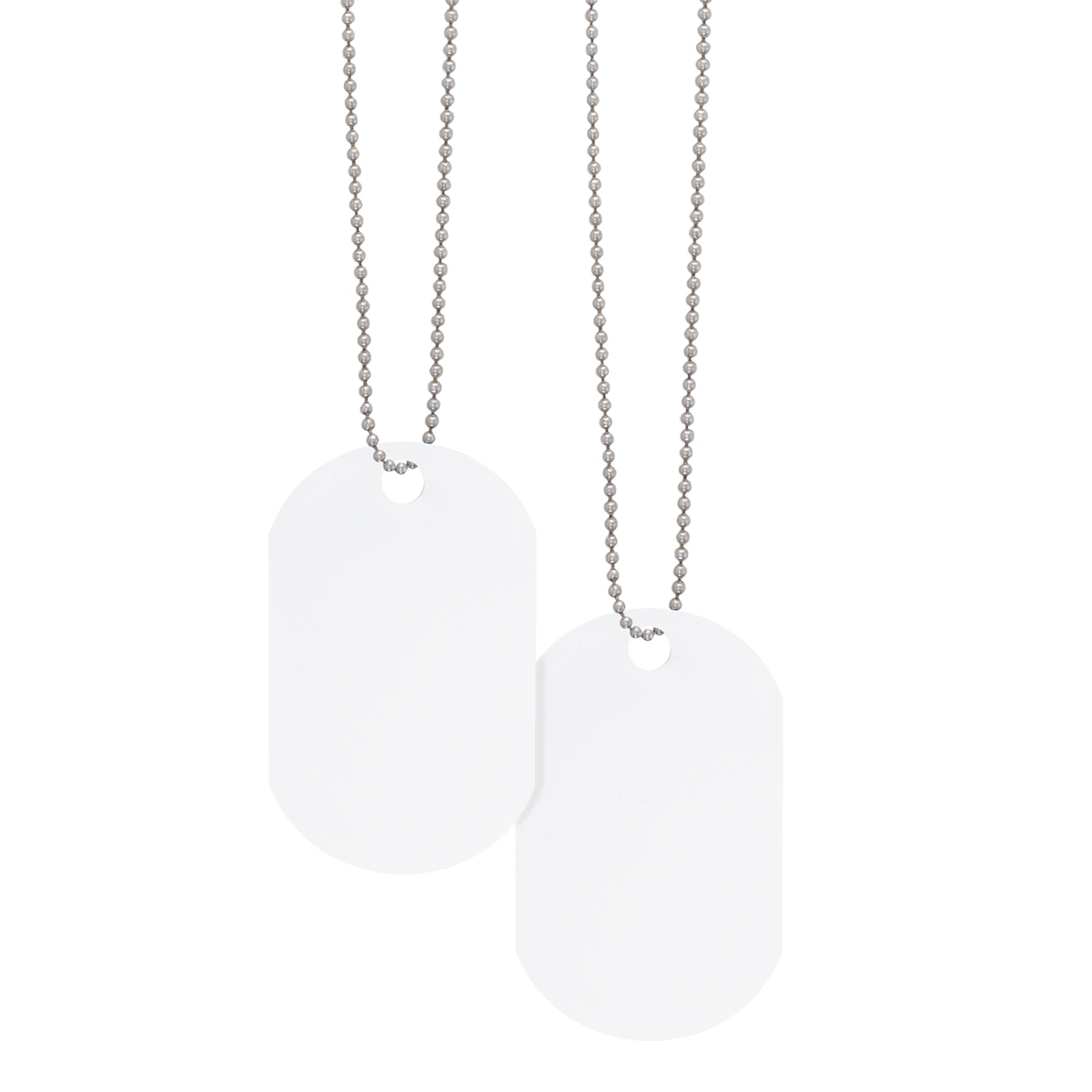 Acrylic Dog Tag 3