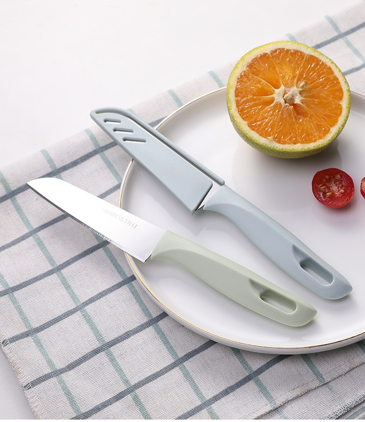 Stainless Steel Fruit Knife 1