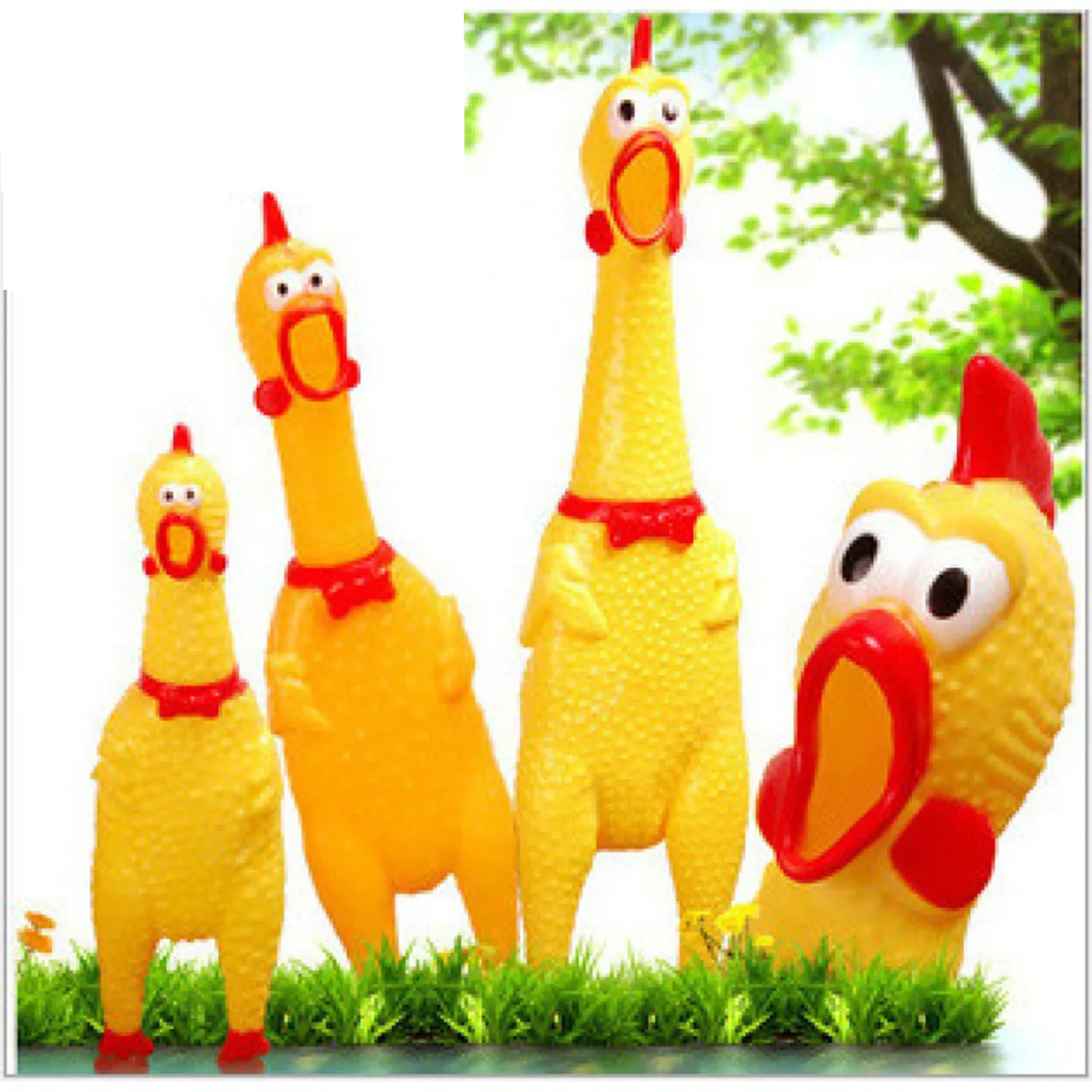 31cm medium screaming chicken 4