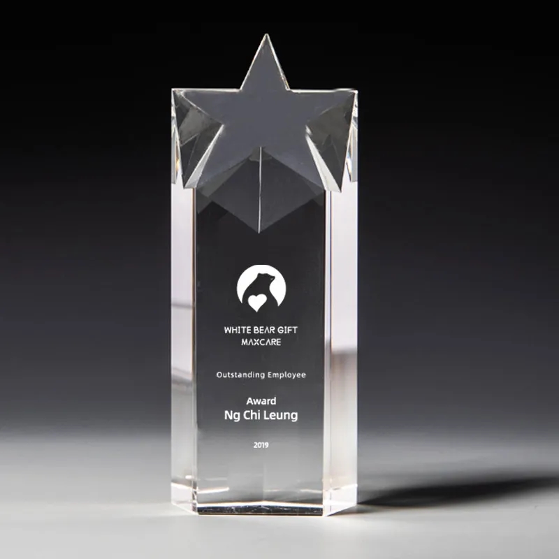 Crystal Star Pillar Award 4