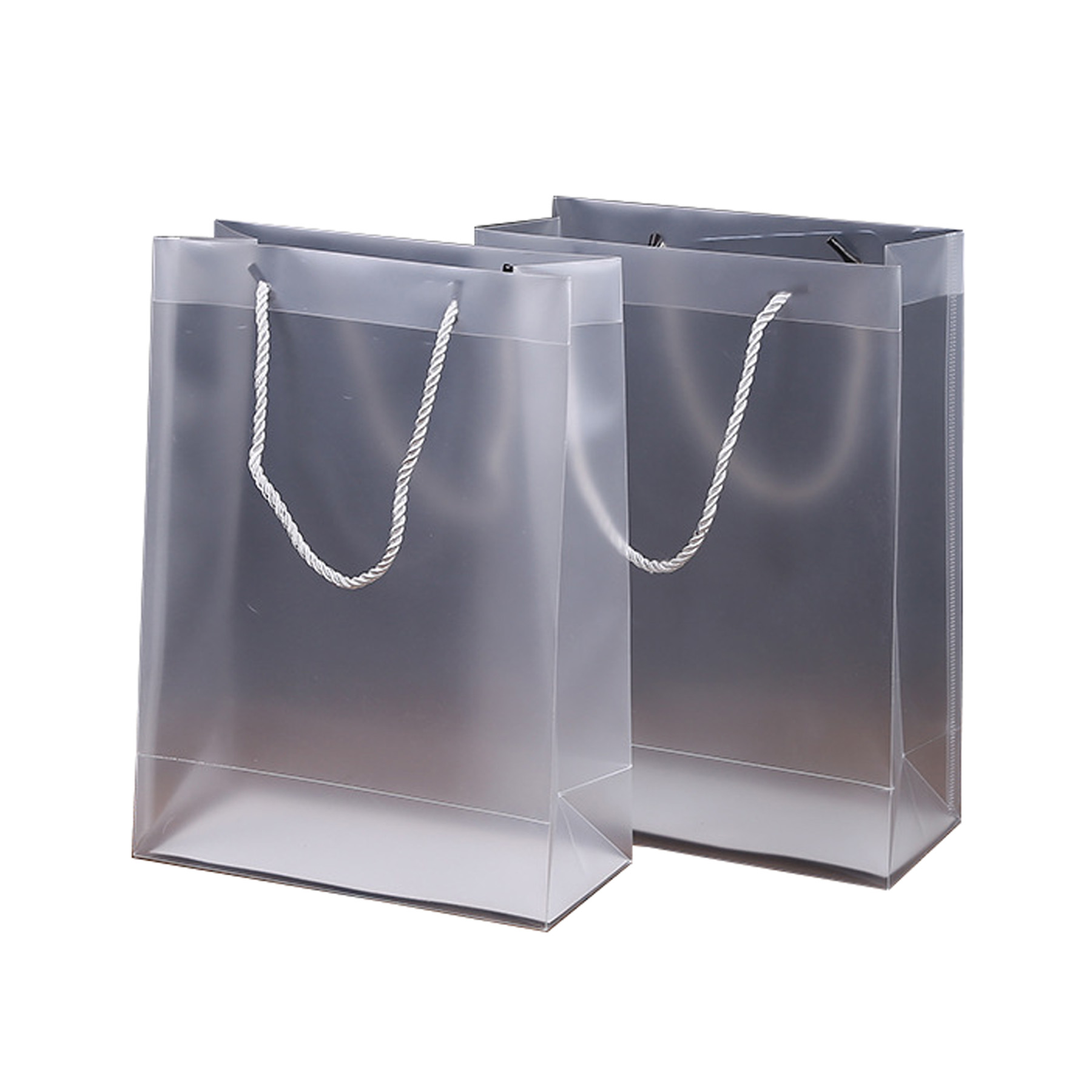 Translucent Tote Bag 2