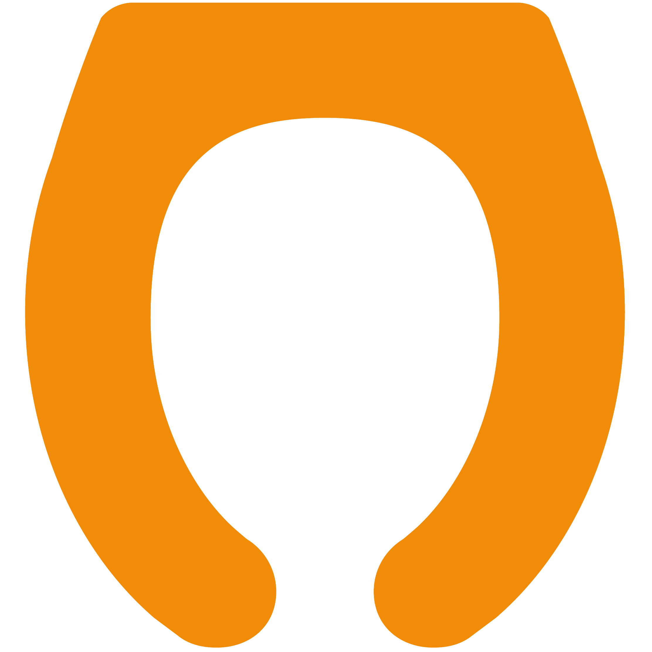 Toilet Seat 29