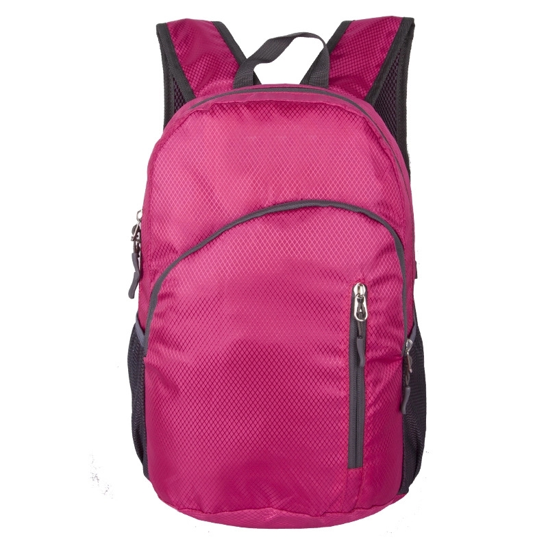 Portable Lightweight Backpack 2