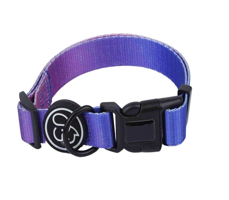 Zinc Alloy D Buckle Nylon Pet Collar - Medium 1