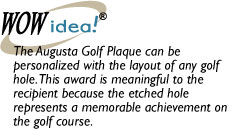 Augusta Award 8