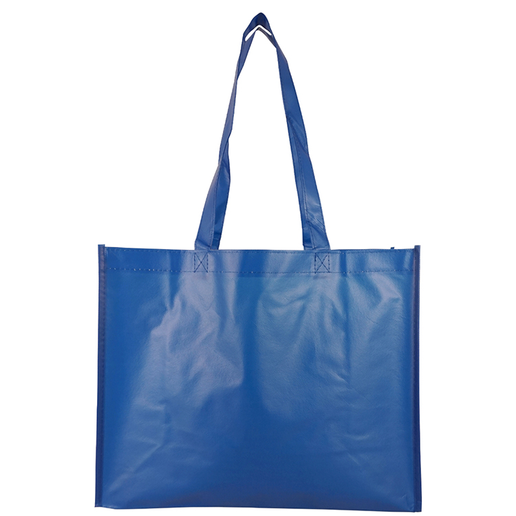 Miramar Matte Laminated Tote Bag 23