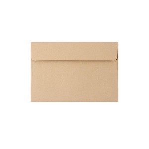 White Windowed Paper Envelope 1